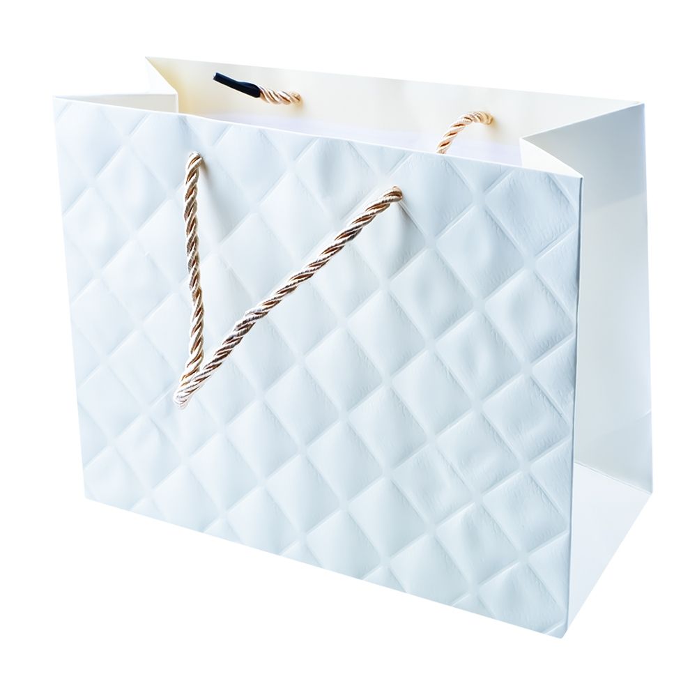 Punga cadou unicolora premium 18x23x10 cm 838-s
