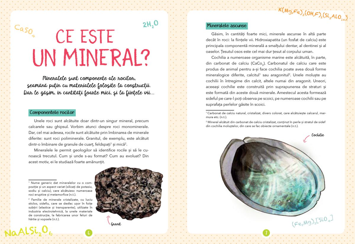 Micul meu ghid al naturii - Mineralele - Laurence Denis