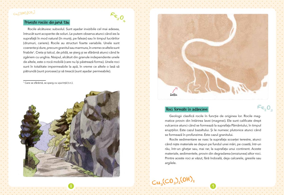 Micul meu ghid al naturii - Mineralele - Laurence Denis