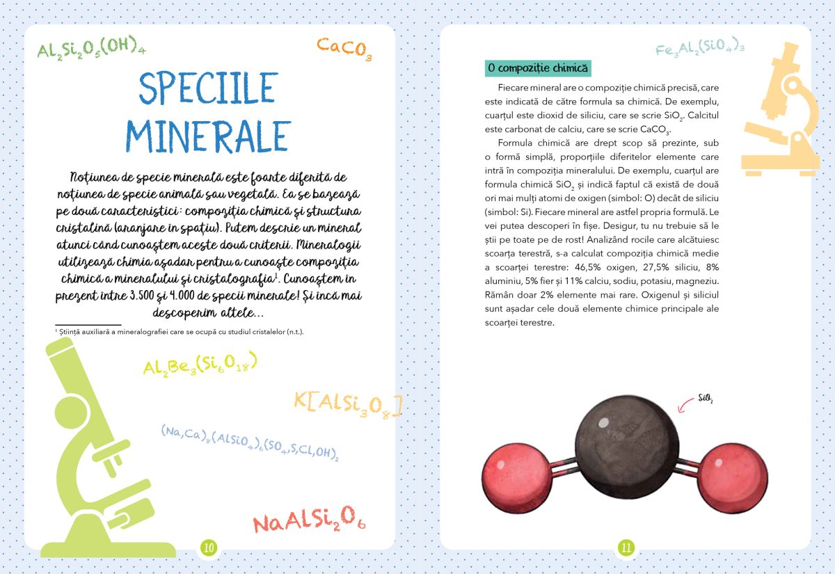 Micul meu ghid al naturii - Mineralele - Laurence Denis