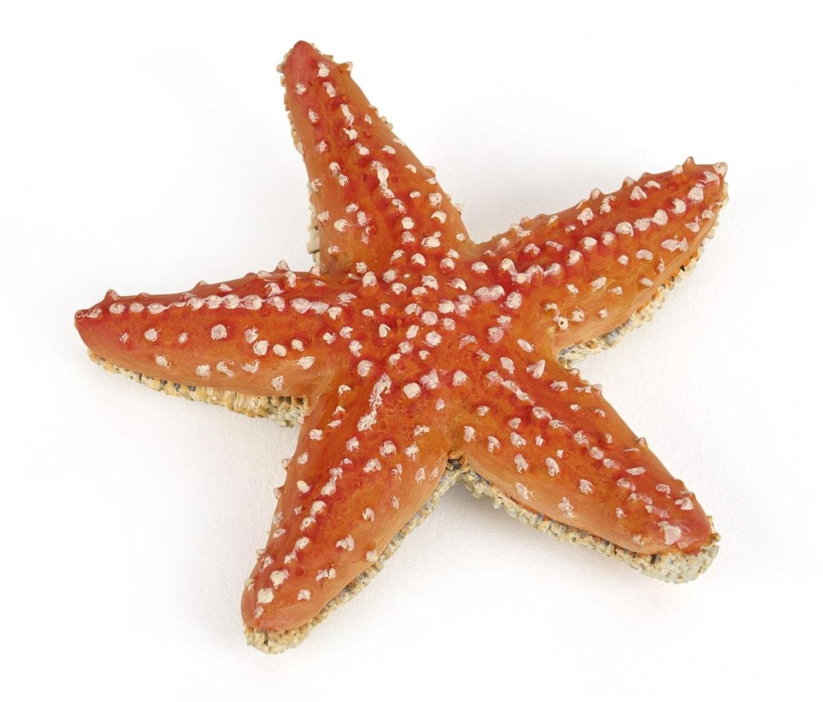 Papo figurina stea de mare papo56050