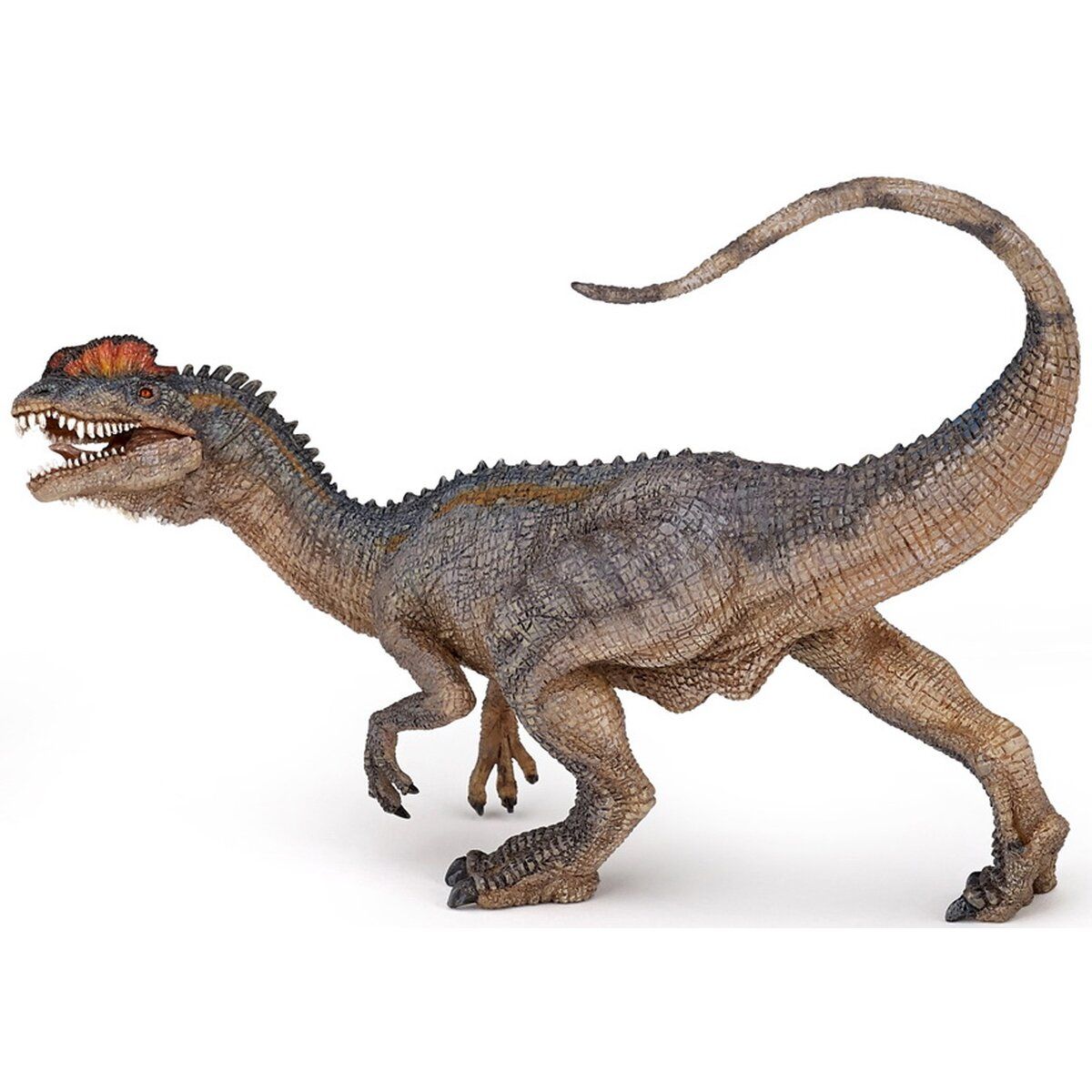Figurina dilophosaurus dinozaur papo55035