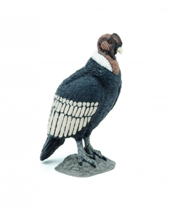 Papo figurina condor papo50293