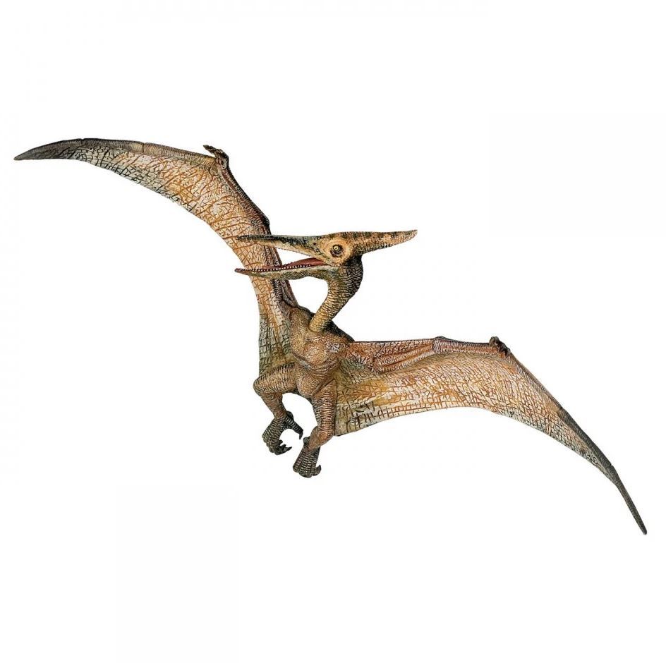 Papo figurina   dinozaur pteranodon papo55006