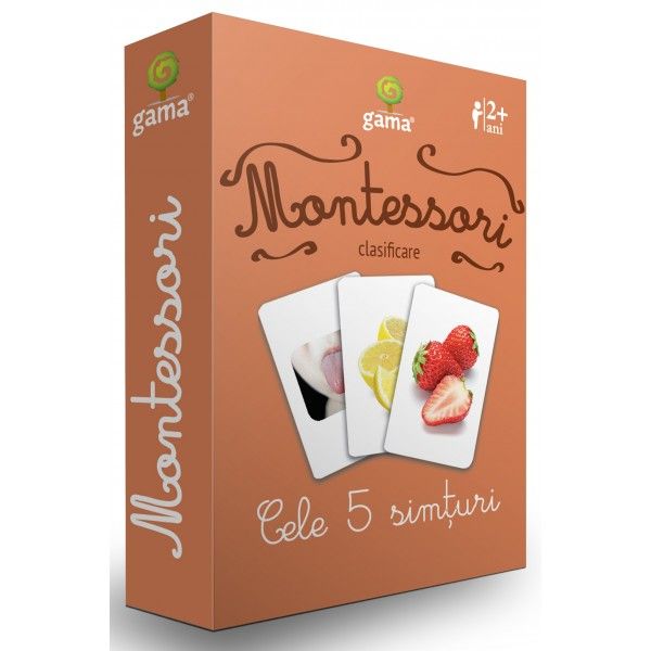 Cele 5 simturi/ Montessori