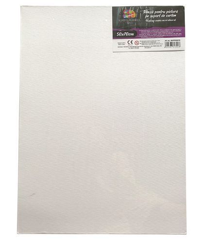 Carton panzat 3mm 50*70cm sf art pigna mcppc50x70