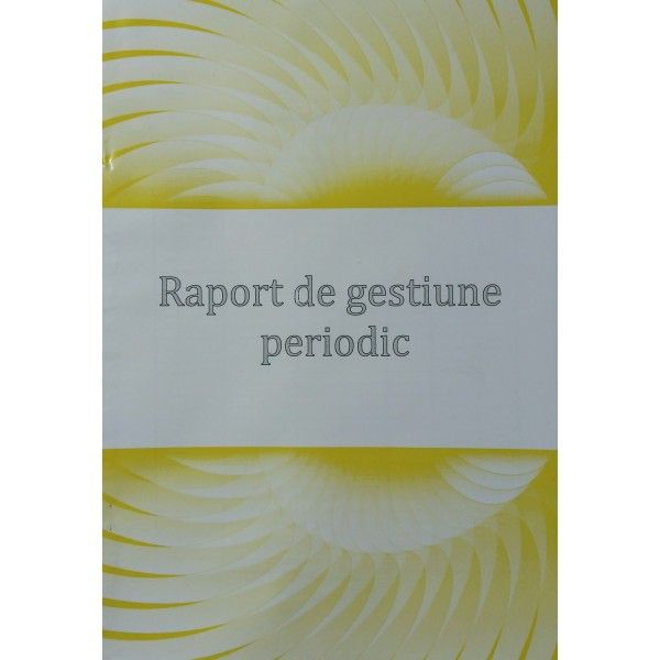 Raport gestiune periodic color                              