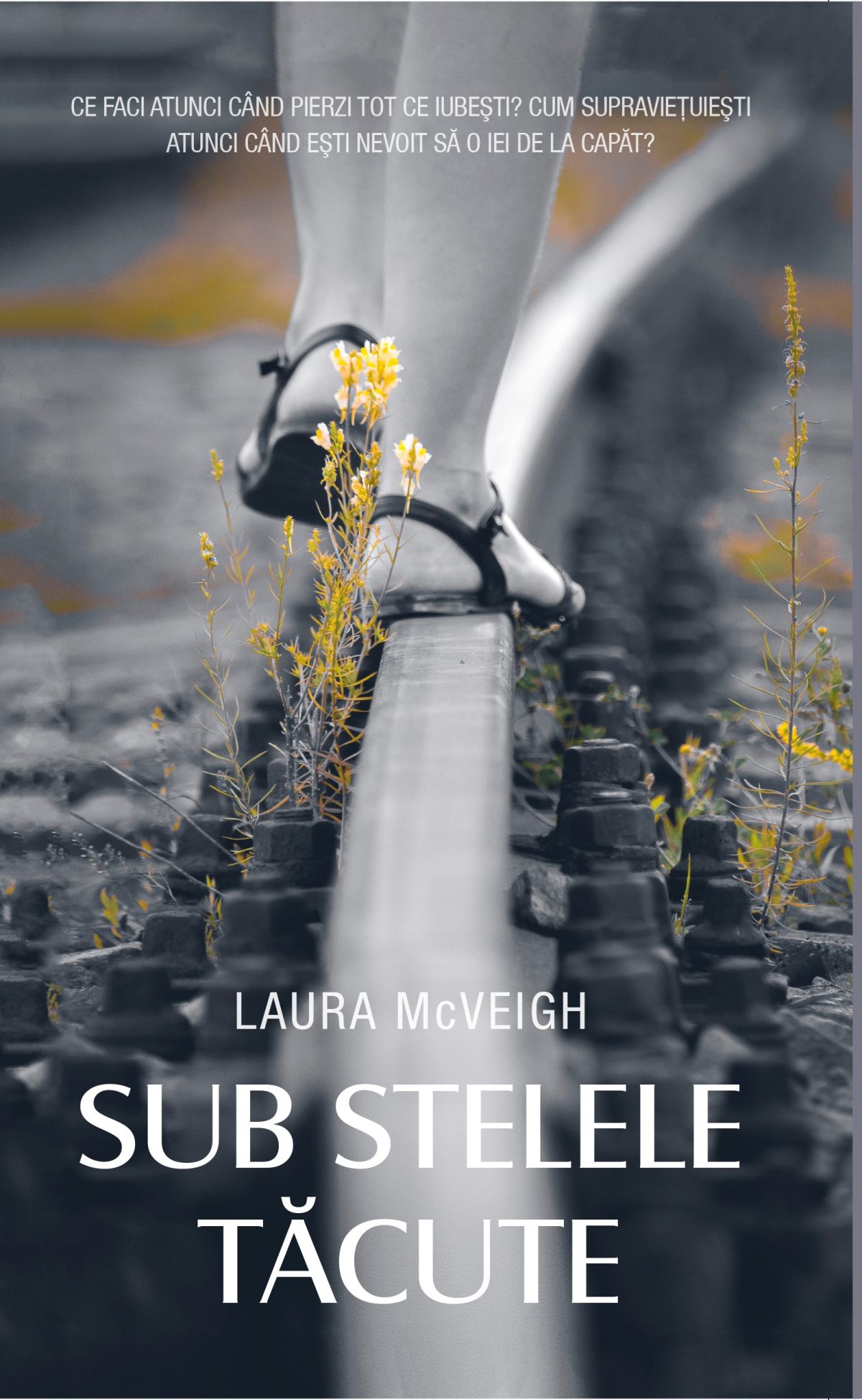 Sub stelele tacute - Laura McVeigh