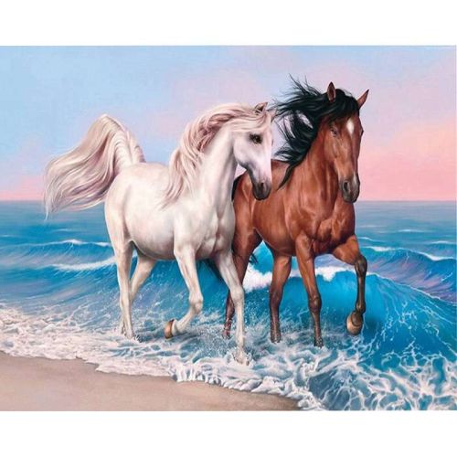 Panza de pictura numere 40*50cm cai centrum 89659