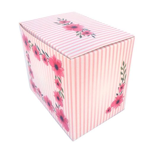 Cutie carton 1512d