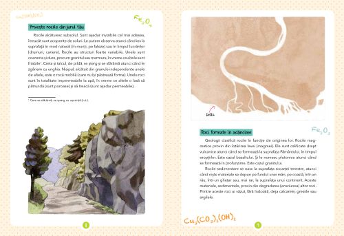 Micul meu ghid al naturii - Mineralele - Laurence Denis