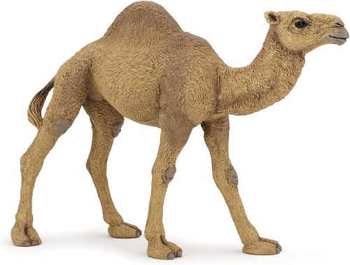 Figurina dromader papo50151