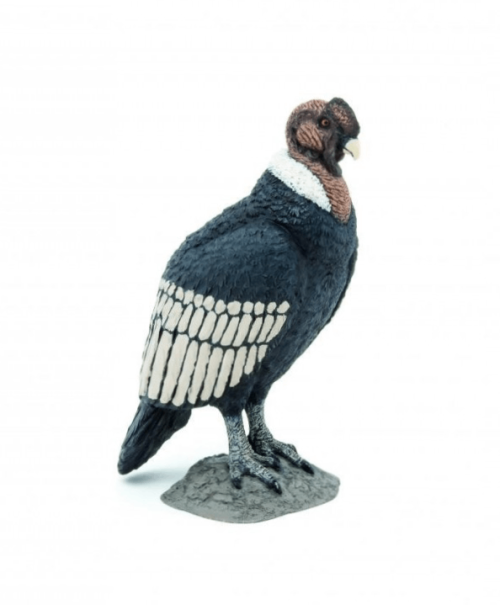 Papo figurina condor papo50293