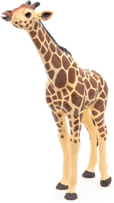 Figurina girafa cu cap ridicat papo50236
