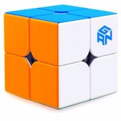 Cub gan 251 gan963725