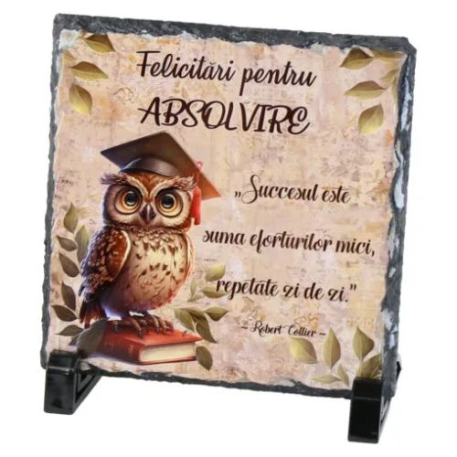 Placa ardezie felicitari pentru absolvire bufnita 3038