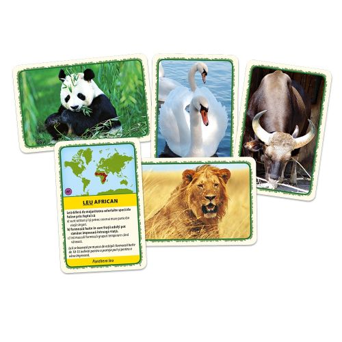 Joc educativ animalele lumii 58629