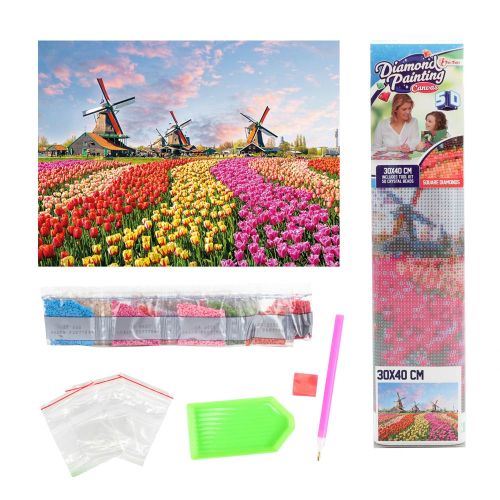 Set creatie cu diamante 30x40 cm - toi-toys 46660z