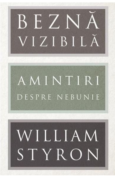 Bezna vizibila - Amintiri despre nebunie - William Styron