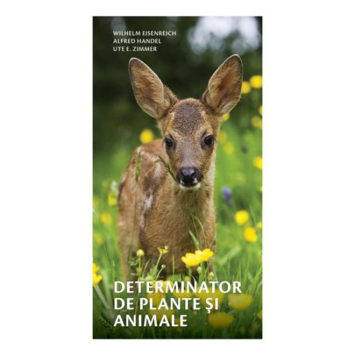 Determinator de plante si animale