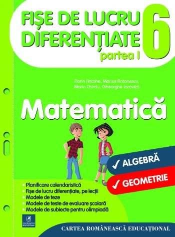 Fise de lucru diferentiate  matematica  cls  VI  partea I