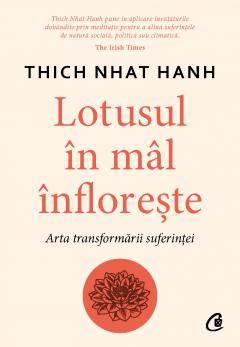 Lotusul in mal infloreste-curtea veche