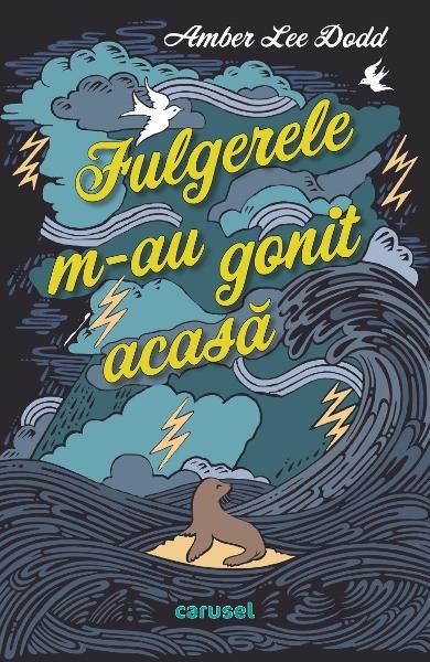 Fulgerele m-au gonit acasa