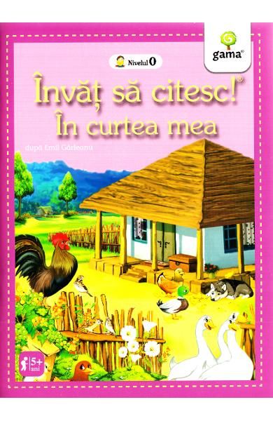 In curtea mea