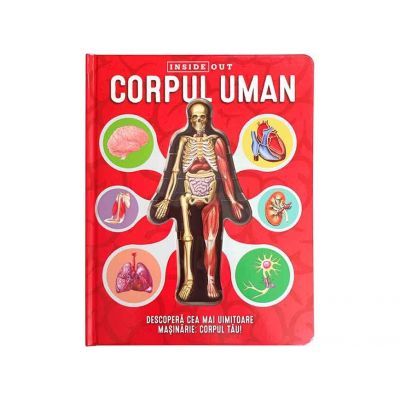 Corpul uman model 3d