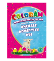Desene animale domestice pui - carte de colorat B5