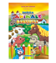 Invatam animale domestice - carte de colorat B5