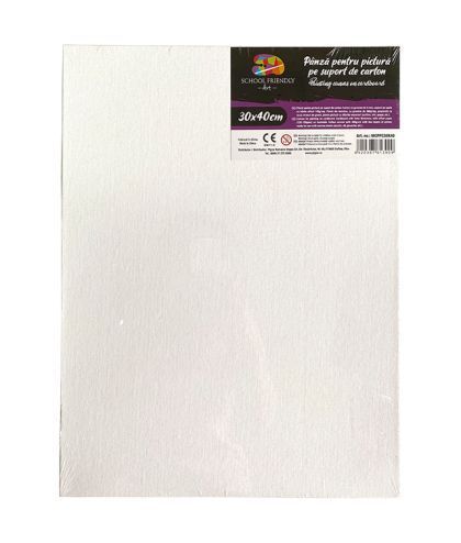 Carton panzat 3mm 30*40cm sf art pigna mcppc30x40