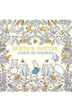 Colorat:beatrix potter carte colorat
