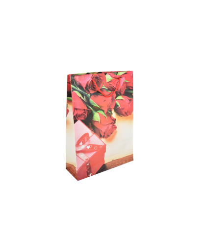 Punga cadou 43x31,5