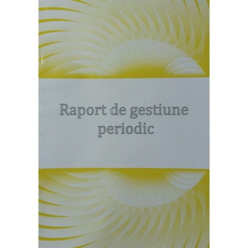 Raport gestiune periodic color                              