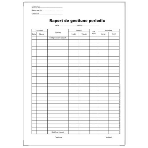 Raport gestiune periodic color                              
