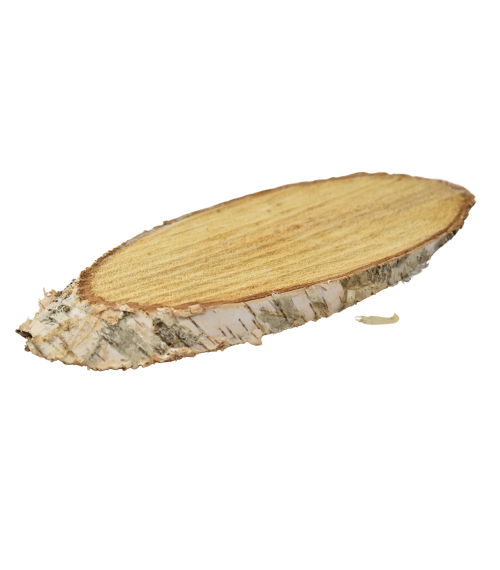 Disc oval din mesteacan mare