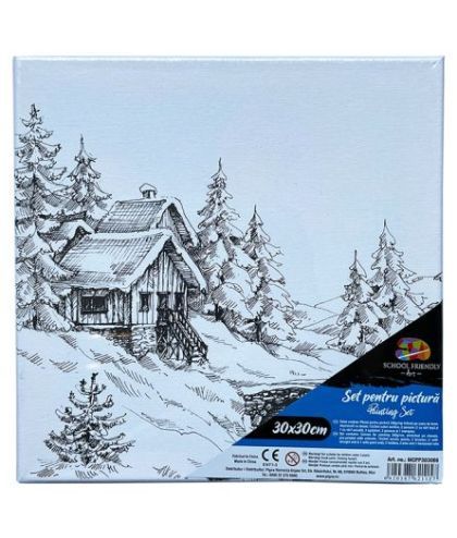 Panza pred pe sasiu 30*30cm peisaj sf art pigna mcpp303086