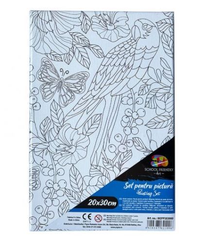 Panza pred pe sasiu 20*30cm papagal sf art pigna mcpp203080