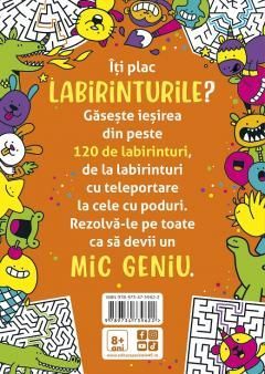 Micile genii: Jocuri cu labirinturi - Gareth Moore