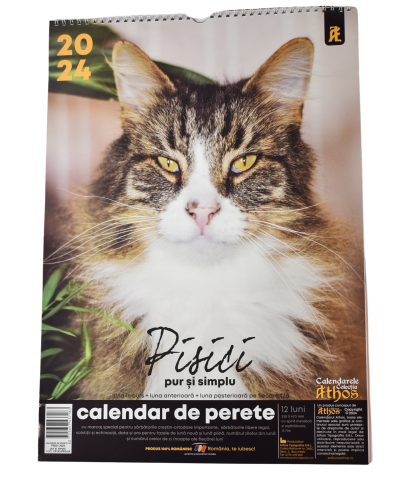 Calendar perete a3 pisici