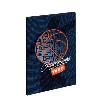 Mapa premium, holografic, basketball, elastic sc2422