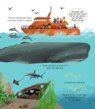 Prima mea carte despre mari si oceane - Matthew Oldham