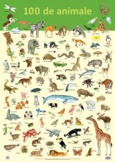 Plansa 100 de animale - Nelson Verlag 