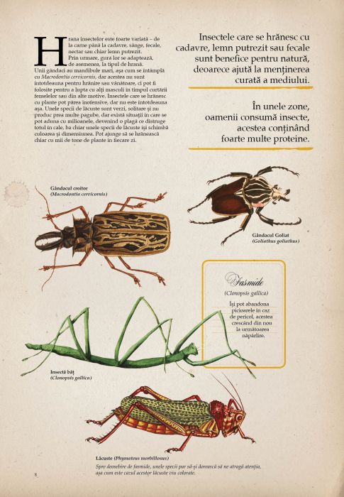 Zoologia ilustrata - Maria Carmen Soria