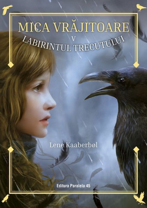 Labirintul trecutului - Lene Kaaberbol