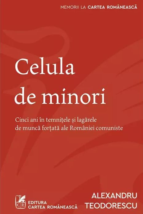 Celula de minori - Alexandru Teodorescu