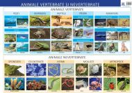 Plansa - Animale vertebrate si nevertebrate - Florica Alexandrescu