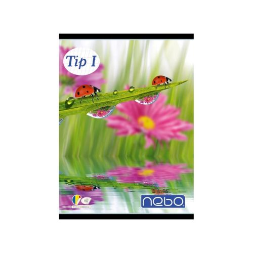 Caiet a5 tip I 24 file nebo 16554                           
