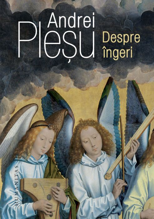 Despre ingeri - Andrei Plesu